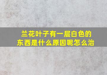 兰花叶子有一层白色的东西是什么原因呢怎么治