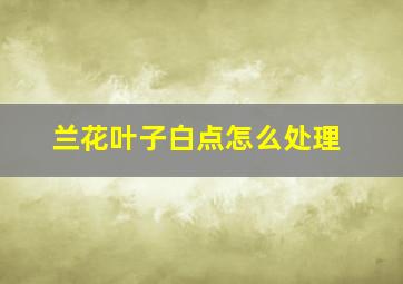 兰花叶子白点怎么处理