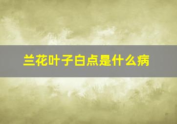 兰花叶子白点是什么病