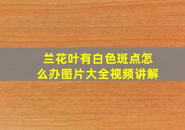 兰花叶有白色斑点怎么办图片大全视频讲解