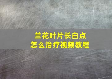 兰花叶片长白点怎么治疗视频教程