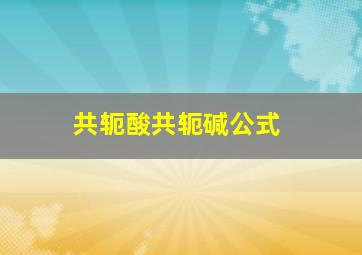 共轭酸共轭碱公式