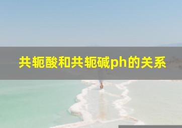 共轭酸和共轭碱ph的关系