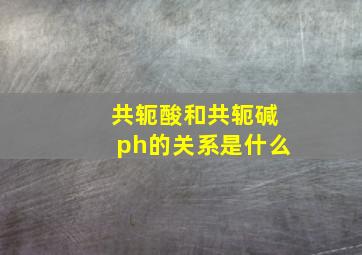 共轭酸和共轭碱ph的关系是什么