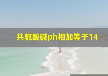 共轭酸碱ph相加等于14