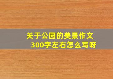 关于公园的美景作文300字左右怎么写呀