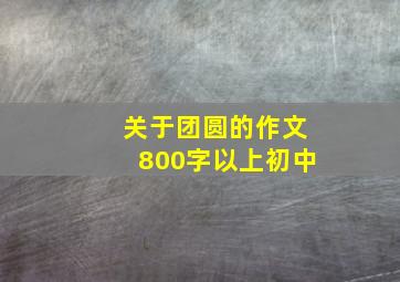 关于团圆的作文800字以上初中