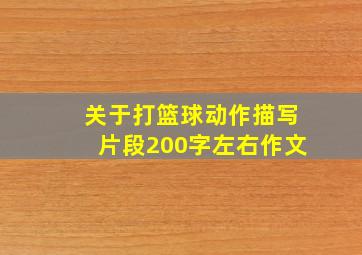 关于打篮球动作描写片段200字左右作文