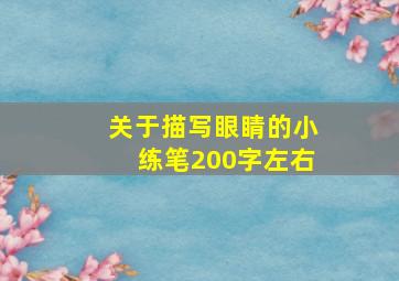 关于描写眼睛的小练笔200字左右