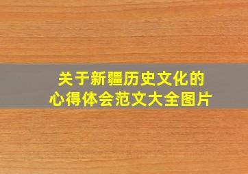 关于新疆历史文化的心得体会范文大全图片