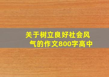 关于树立良好社会风气的作文800字高中