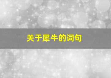 关于犀牛的词句