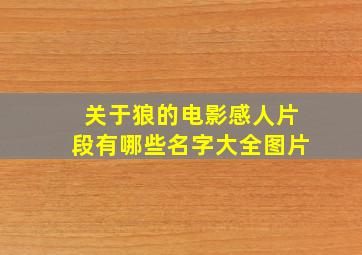 关于狼的电影感人片段有哪些名字大全图片