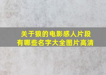 关于狼的电影感人片段有哪些名字大全图片高清