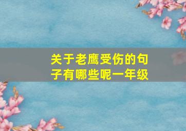 关于老鹰受伤的句子有哪些呢一年级