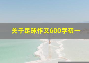 关于足球作文600字初一