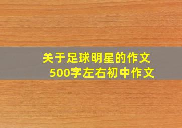 关于足球明星的作文500字左右初中作文