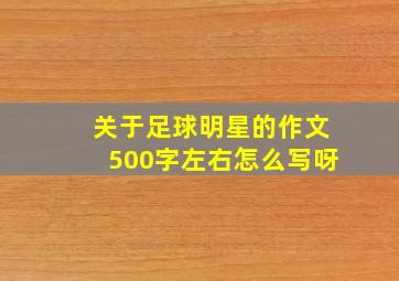 关于足球明星的作文500字左右怎么写呀