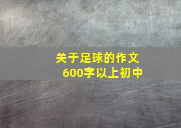 关于足球的作文600字以上初中