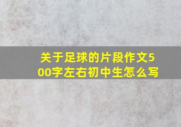 关于足球的片段作文500字左右初中生怎么写