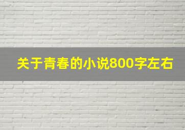 关于青春的小说800字左右