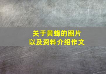 关于黄蜂的图片以及资料介绍作文