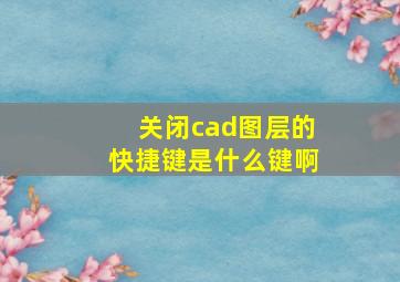 关闭cad图层的快捷键是什么键啊