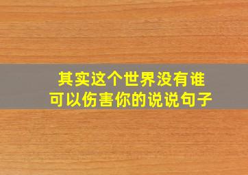 其实这个世界没有谁可以伤害你的说说句子