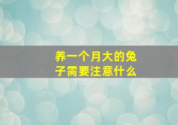 养一个月大的兔子需要注意什么