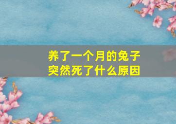 养了一个月的兔子突然死了什么原因