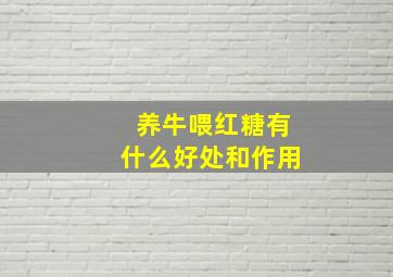 养牛喂红糖有什么好处和作用