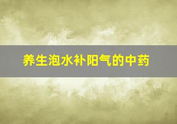 养生泡水补阳气的中药