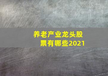 养老产业龙头股票有哪些2021