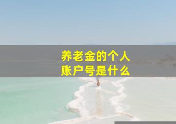 养老金的个人账户号是什么