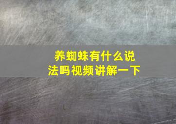 养蜘蛛有什么说法吗视频讲解一下