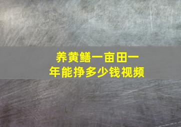 养黄鳝一亩田一年能挣多少钱视频