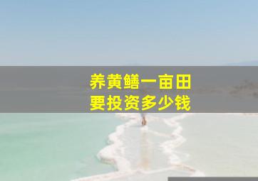 养黄鳝一亩田要投资多少钱