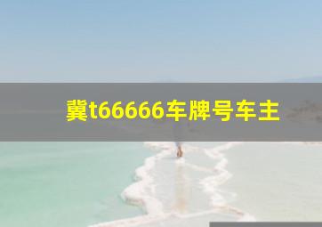 冀t66666车牌号车主