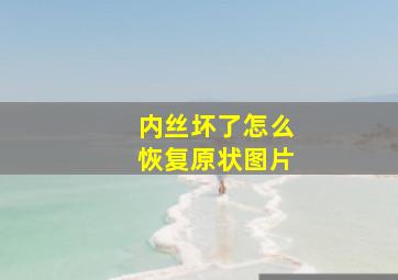 内丝坏了怎么恢复原状图片