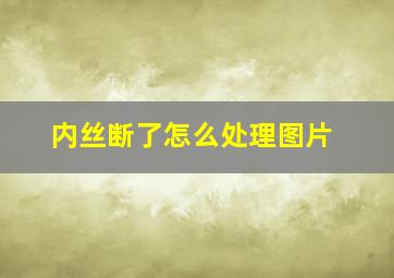 内丝断了怎么处理图片