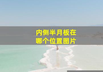 内侧半月板在哪个位置图片