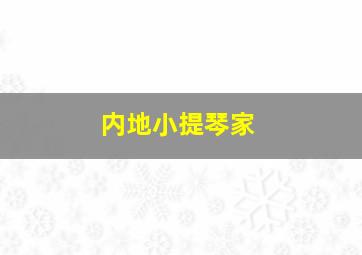 内地小提琴家