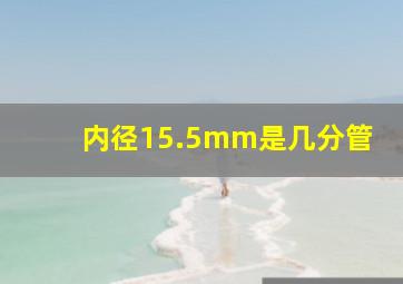 内径15.5mm是几分管