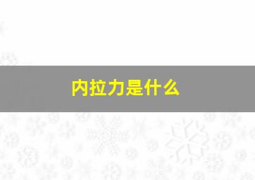 内拉力是什么