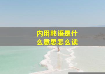 内用韩语是什么意思怎么读