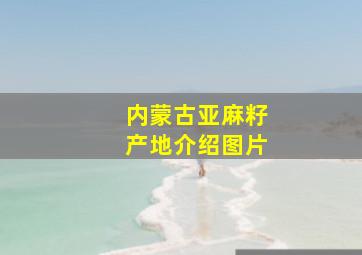 内蒙古亚麻籽产地介绍图片