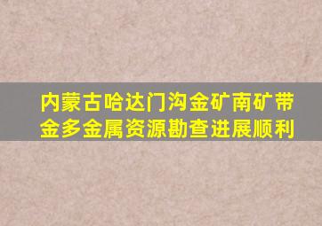 内蒙古哈达门沟金矿南矿带金多金属资源勘查进展顺利