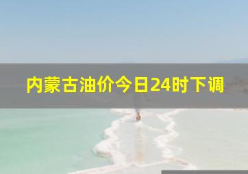 内蒙古油价今日24时下调