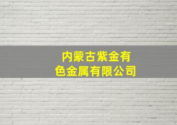 内蒙古紫金有色金属有限公司