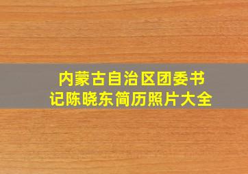 内蒙古自治区团委书记陈晓东简历照片大全